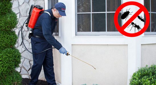 Ağın Dezenfeksiyon böcek ilaçlama ve haşere kontrolü — ilaclama-tr.com